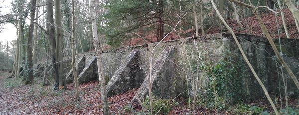 A photo of the water tanks in Eaves Wood in Silverdale