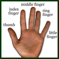 Finger names