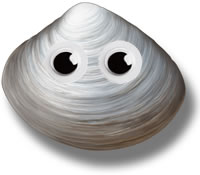 happy clam