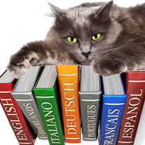 Cat on dictionaries - an illustration of language learning lethargy