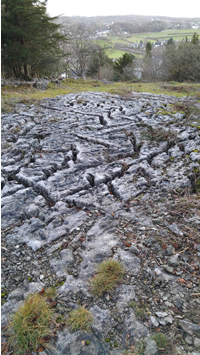 A photo of a limestone pavement