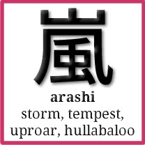 嵐 (arashi) - storm, tempest, uproar or hullabaloo