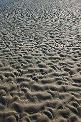 Sand ripples / Sun dribbles