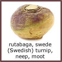 rutabaga, swede, (Swedish) turnip, neep, moot