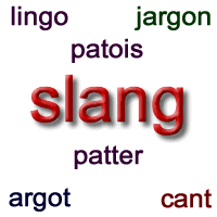 Slang argot jargon patter cant patois lingo