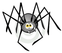 Spider / Spincop