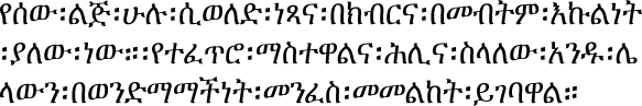 Sample text in Amharic