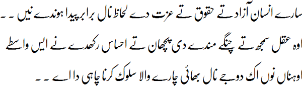 سارے انسان آزاد تے حقوق تے عزت دے لحاظ نال برابر پیدا ہوندے نیں ۔ ۔ اوہ عقل سمجھ تے چنگے مندے دی پچھان تے احساس رکھدے نے ایس واسطے اوہناں نوں اک دوجے نال بھائی چارے والا سلوک کرنا چاہی دا اے ۔ ۔.