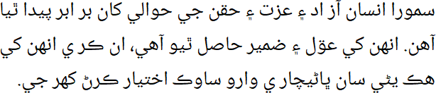 سمورا انسان آزاد ءِ عزت ءِ حقن ڄي حوالي ڪان نرانر پيداٿيا آهن. انهن ڪي عقل ءِ ضمير حاصل ٿيو آهي، ڪري انهن ڪي هڪ ٻئي سلن ڀلئيچار ي وارو ساوڪ اختيار ڪرڻ گهر جي.