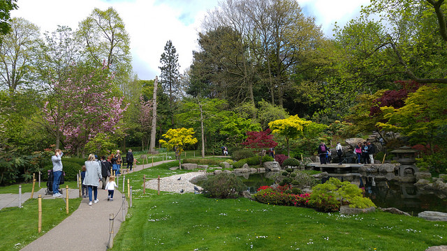 A photo of the Kyoto Garden (京都庭園) Holland Park in London