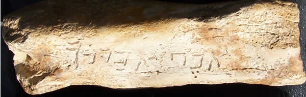 Bone inscription