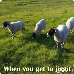 When you get to jiggit