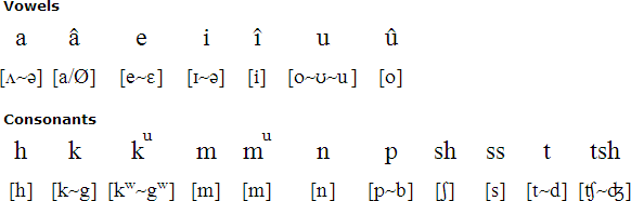 Montagnais pronunciation