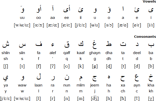 arabic