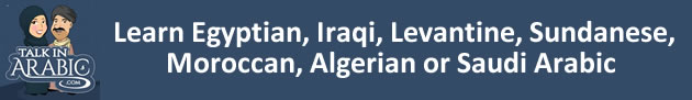 Talk in Arabic - Learn Egyptian, Iraqi, Levantine, Sundanese, Moroccan, Algerian or Saudi Arabic