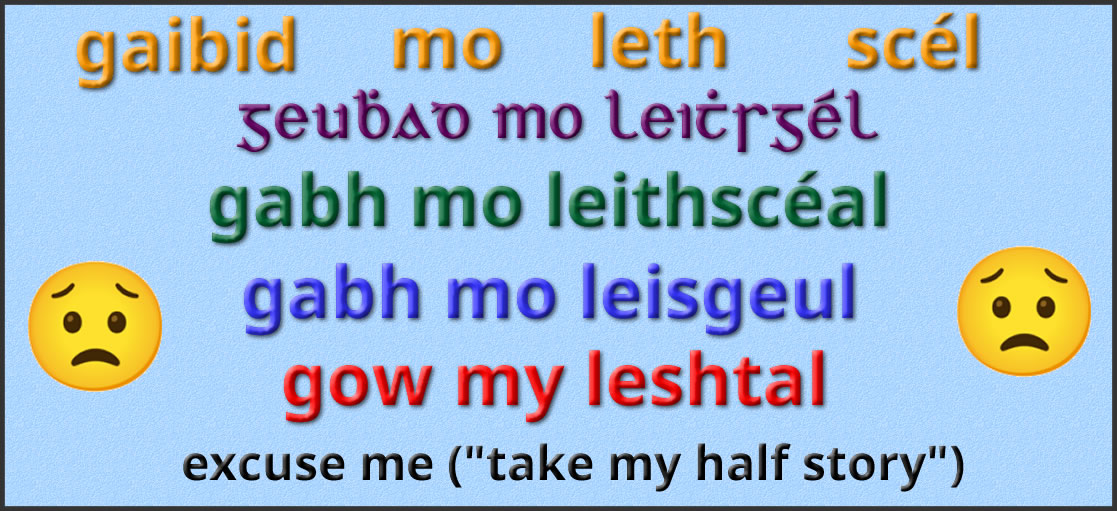 Gabh mo leithscéal (take my half story
