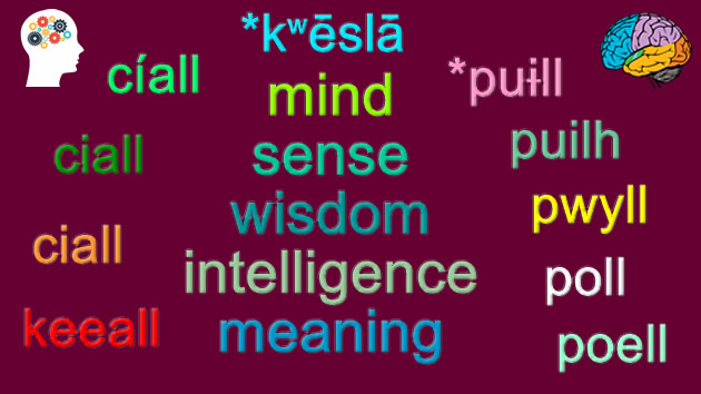 Mind, Sense, Widom, Intelligence, Meaning