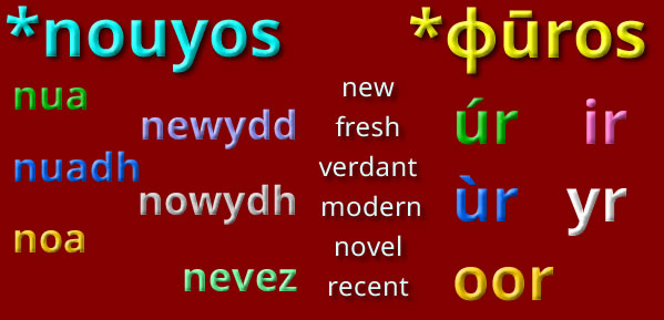 Words for new in Celtic languages