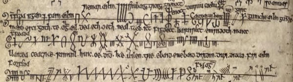 Sample text in Ogham in Ancient Irish