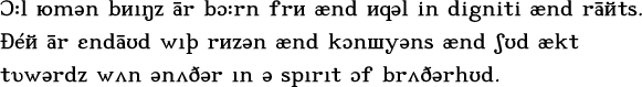 Ɔ:l юmǝn bиıŋz ār bɔ:rn frи ænd иqǝl in digniti ænd rāйts. Đéй ār εndāʊd wıþ rиzǝn ænd kɔnшyǝns ænd ʃʊd ækt tυwǝrdz wʌn ǝnʌðǝr ın ǝ  spırıt ɔf brʌðǝrhʊd.