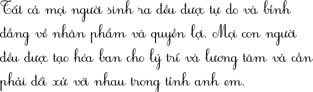 Vietnamese sample text in the Decision 31 Vietnamese cursive script