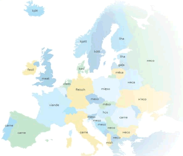 Meat in various European languages