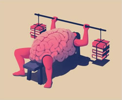 Illustration of a brain bench pressing books