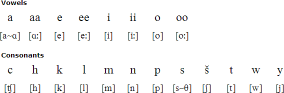 Miami alphabet