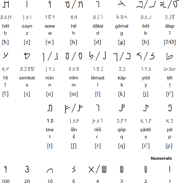 Nabataean script and numerals