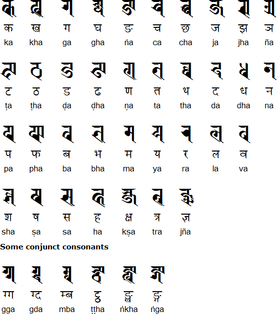 भाषालाई लिएर भाजपाले राजनीति गरिरहेको नेवार युवा सङ्गठनको आरोप