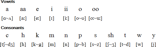 Northern Fiero Roman Orthography for Oji-Cree