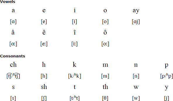 Latin alphabet for Sauk