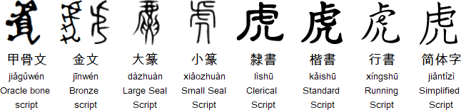 Evolution of the Chinese character for tiger (虎)
