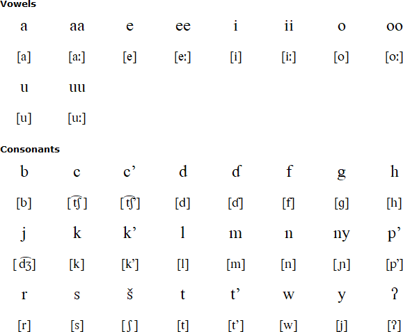 Latin alphabet for Waata