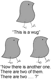 The wug test